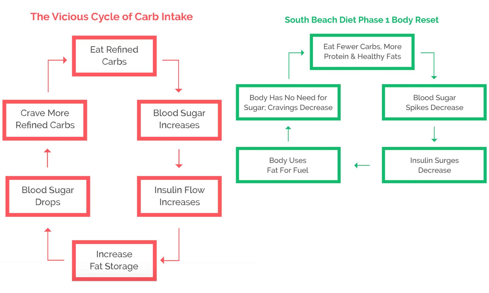 South Beach Diet Real Reviews