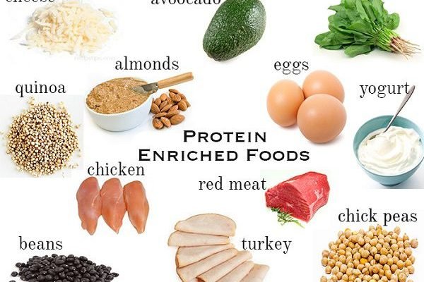 protein food