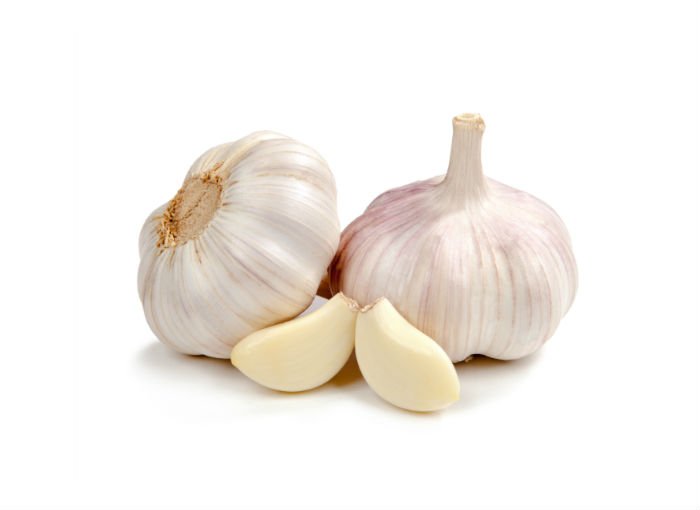 Garlic